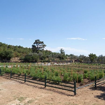 Leone Natural Ayvalik Exterior foto