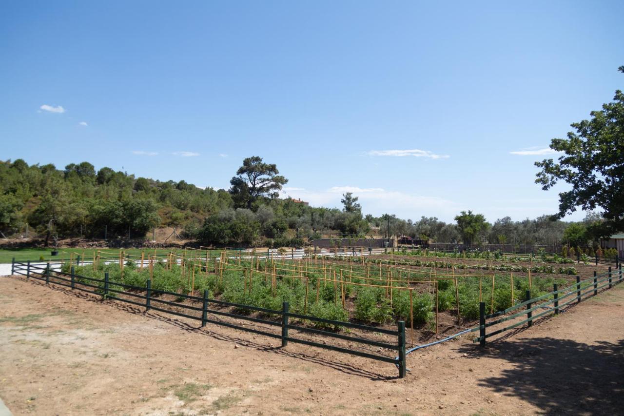 Leone Natural Ayvalik Exterior foto